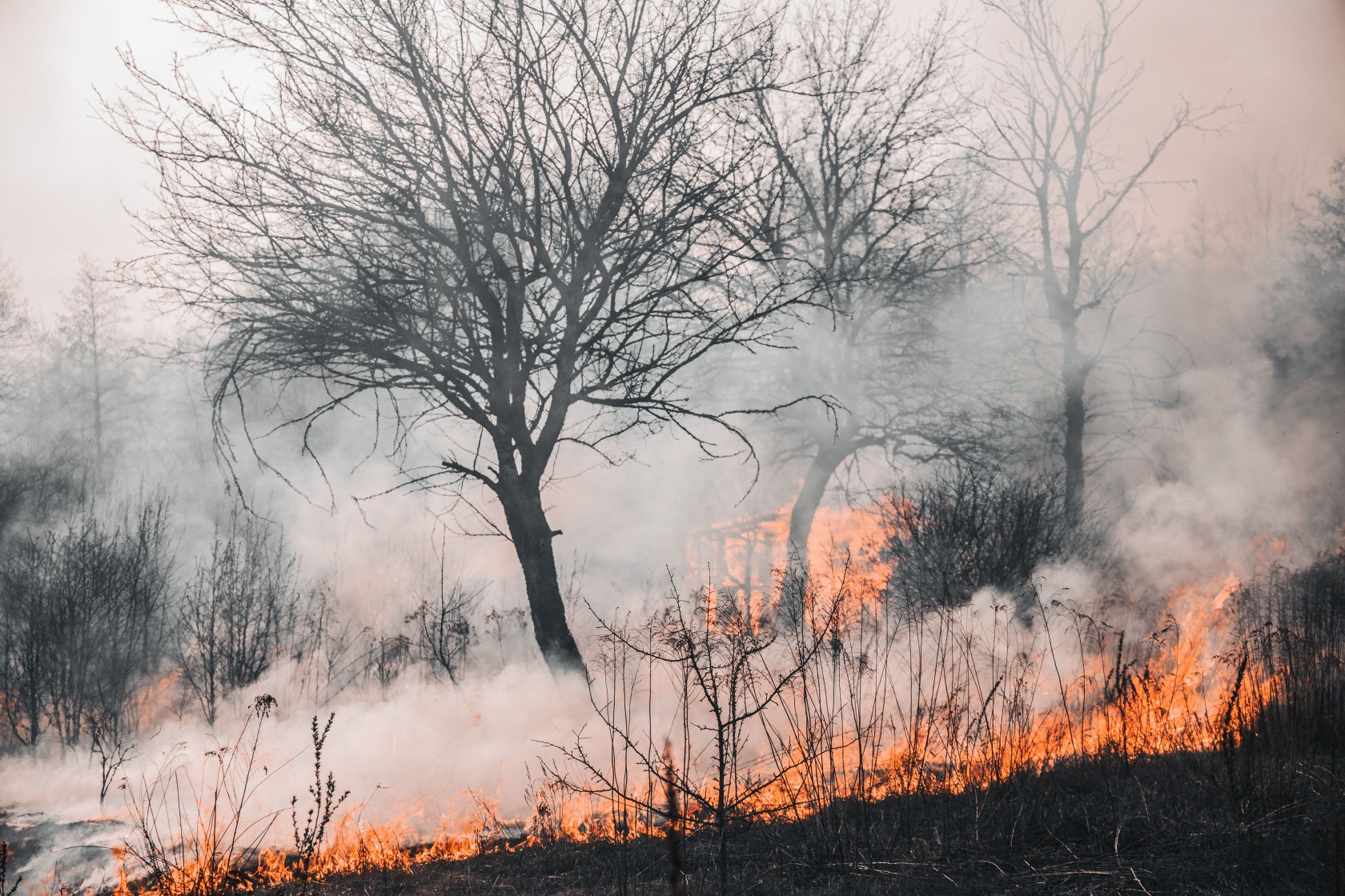 natuurbrand (foto: pexels.com)