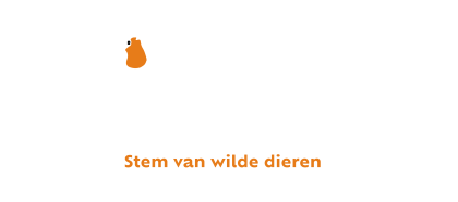 Vogelbescherming Vlaanderen (2026) logo