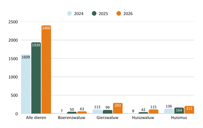 Algemene opvangcijfers tijdens de maand juni in het Natuurhulpcentrum in Oudsbergen